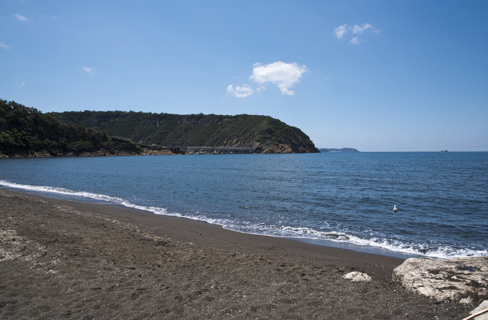 PROCIDA CIRACCIO 04