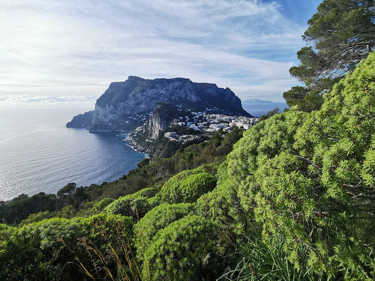 Capri