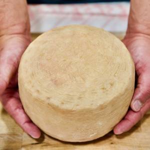 In Vitulano pecorino cheese, the aroma of the pastures between the Samnium mountains