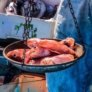 «Bubbessa», zuppa di pesce a Ischia Ponte. La vera storia